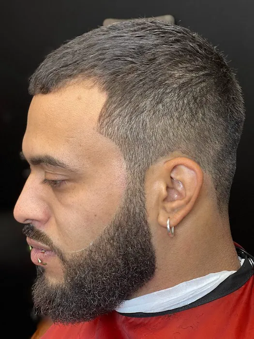PRINCE THE BARBER Picture 6