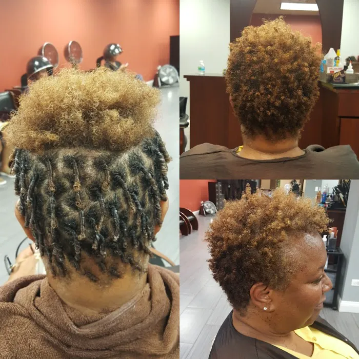 Variations Hair Studio PC Picture 7