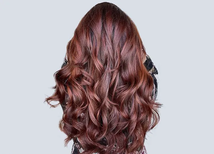 ELEGANCE HAIR SALON & BARBERSHOP Picture 9