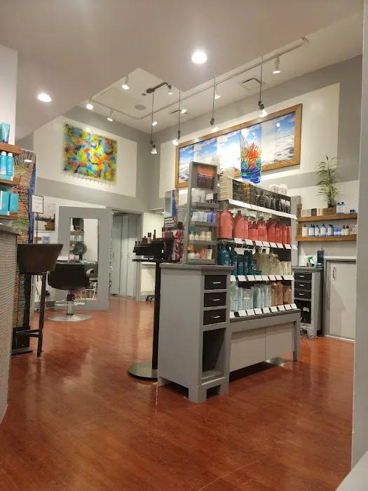 XEX Salon Picture 2