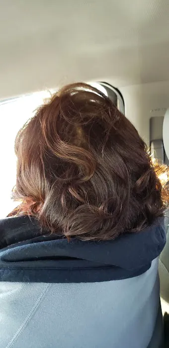 Andy's Hair Studio Picture 3