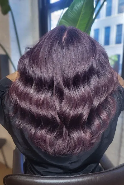 Goran Coban Salon | River North Picture 6