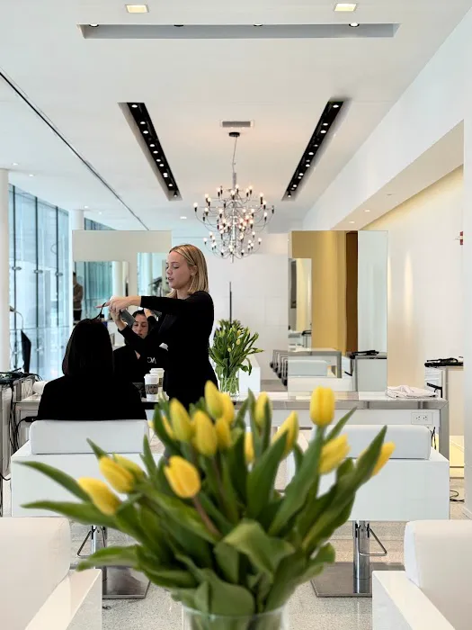 Anthony Cristiano | Top Hair Stylist in Chicago | Hair Salon Picture 2