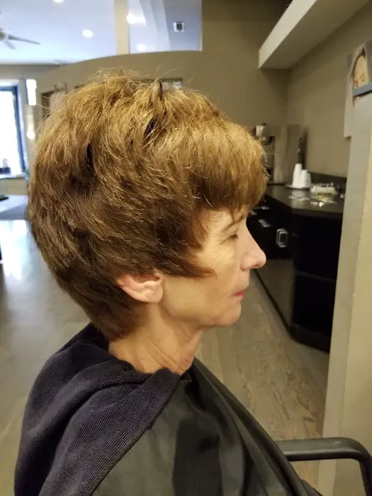 Hair color By Patrick Anderson Picture 6