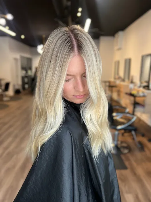 Sovran Salon Picture 6
