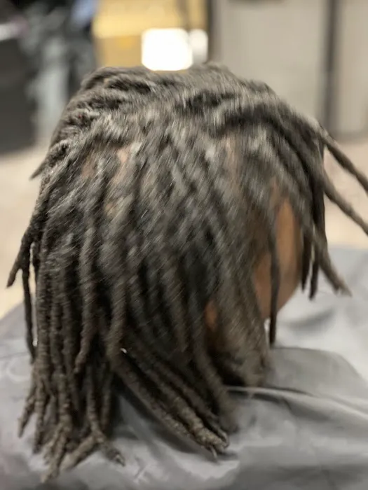 Innovative Locs by Jas Picture 6