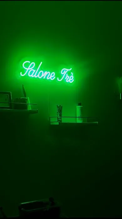 Salone Trè - Chicago Hair Salon Picture 4