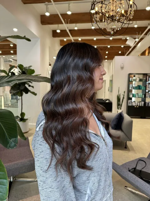 Arsova Salon Picture 8