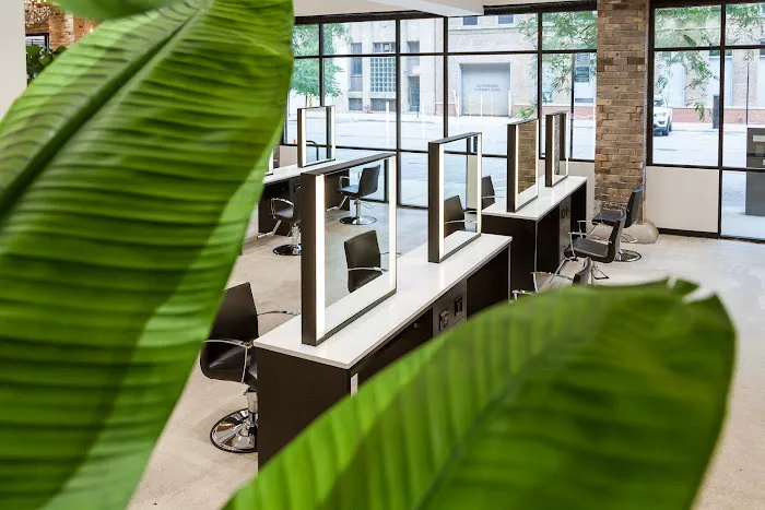 Arsova Salon Picture 5