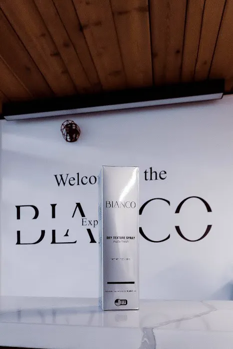 BLANCO U.S.A Picture 2