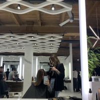 SALON BUZZ ico