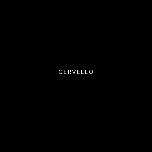 Cervello Laser Picture 9