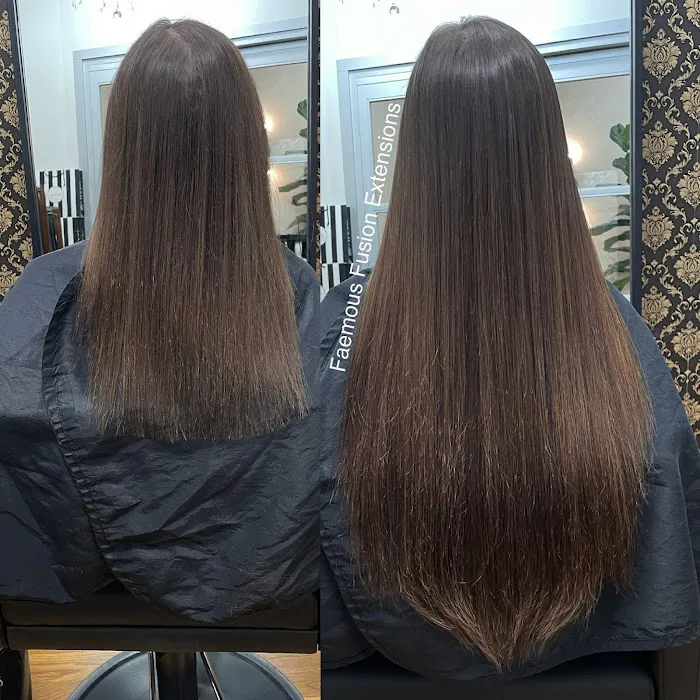 Faemous Fusion Extensions Picture 5
