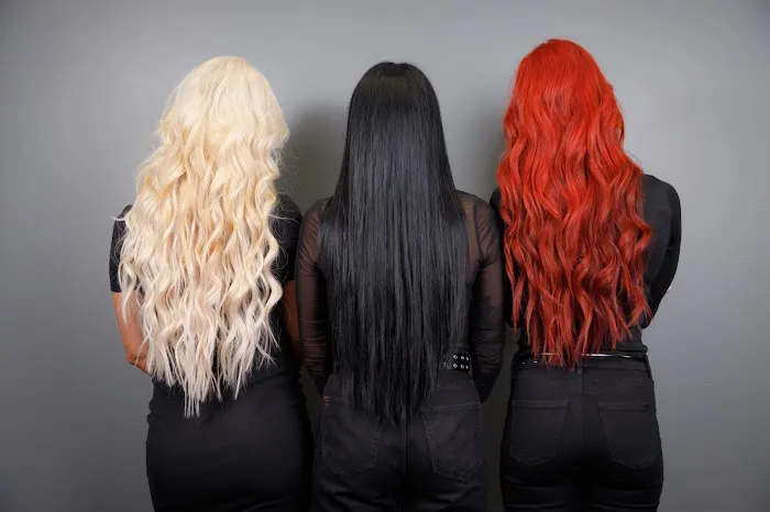 Faemous Fusion Extensions Picture 2