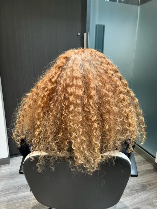 Curlybar Picture 5