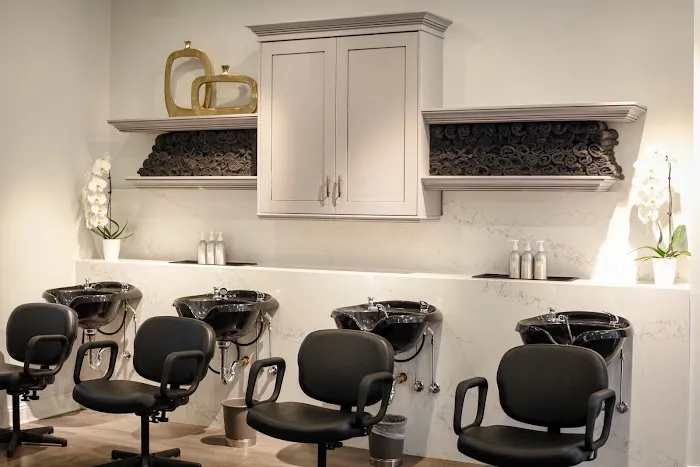 Salon O Sixty-Five Picture 3