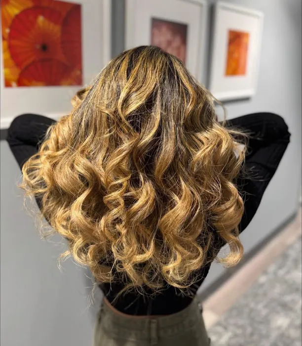 Paulo Aurelio Hair Designer Picture 7