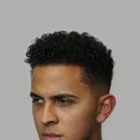 The Hair Historian ico