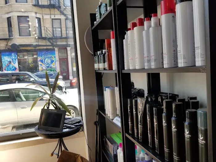 Cosmos the Salon Picture 6