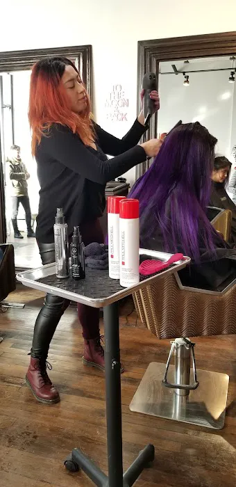 Cosmos the Salon Picture 8