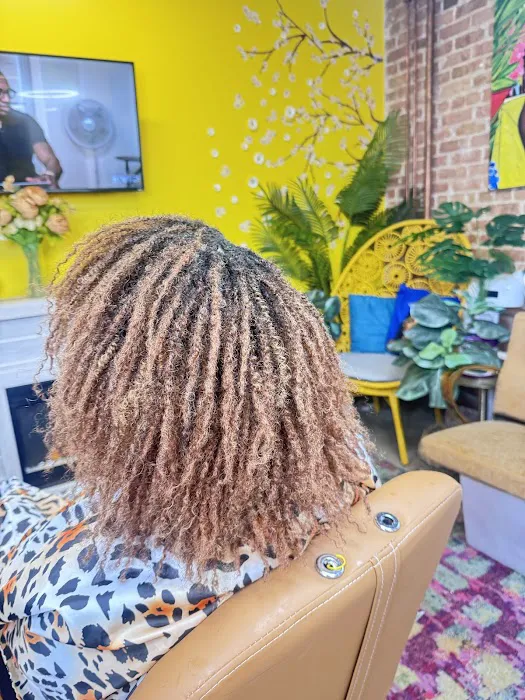 The Loc Doula ~ Tia Forney (Chicago MicroLoc & Faux Loc Stylist) Picture 8