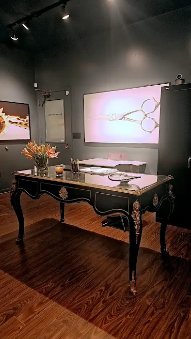 Cat Artist and Muse salon Picture 1