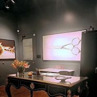 Cat Artist and Muse salon ico