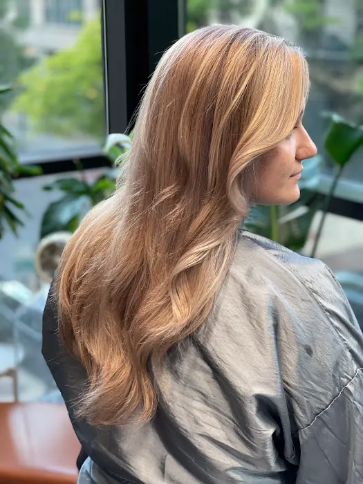 Laura Syrjanen Hair Studio Picture 3