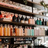 SOLO SALON WASHINGTON ico