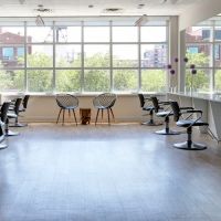 Art + Science Salon ico