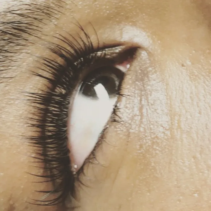 Smooth Luxury Skin Body Waxing & Lash Extensions Picture 10