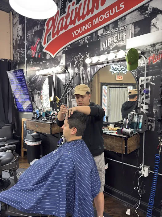 Platinum Fades Pilsen Picture 4