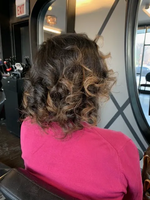 luxhairchicago Picture 4