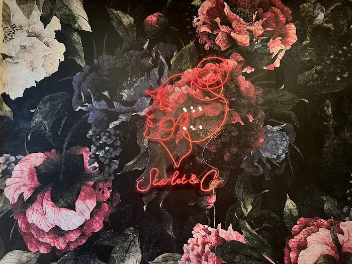 Scarlet & Co Picture 7