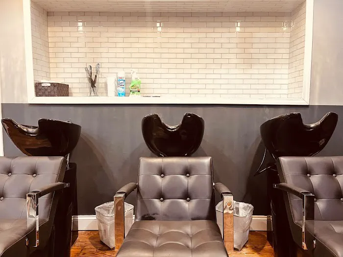 Opulent Salon Chicago Picture 2
