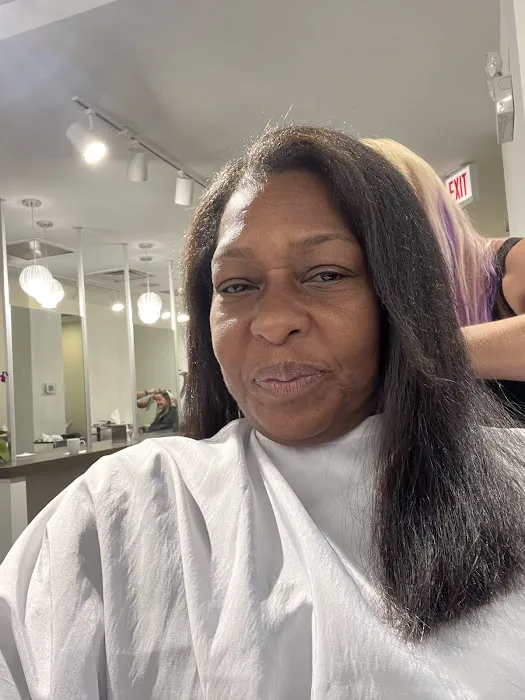 Hair Extensions in Chicago - Nancy Angelair Salon Picture 5