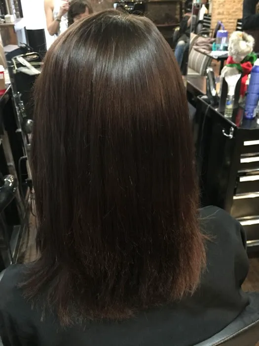 Hair Extensions in Chicago - Nancy Angelair Salon Picture 1