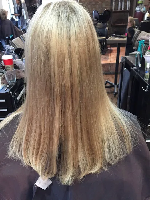 Hair Extensions in Chicago - Nancy Angelair Salon Picture 8