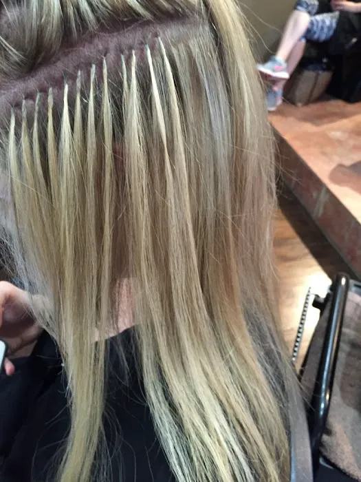 Hair Extensions in Chicago - Nancy Angelair Salon Picture 4