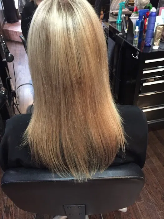 Hair Extensions in Chicago - Nancy Angelair Salon Picture 3