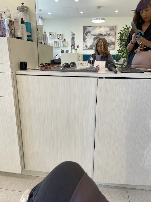 Platinum 34 Salon Picture 9