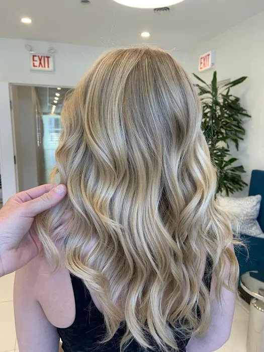 Platinum 34 Salon Picture 6