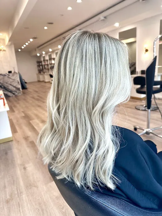 YRK Chicago Salon Picture 2