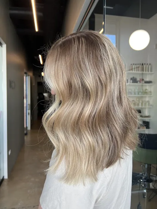Hannah Pendergrass Color + Extensions Picture 3