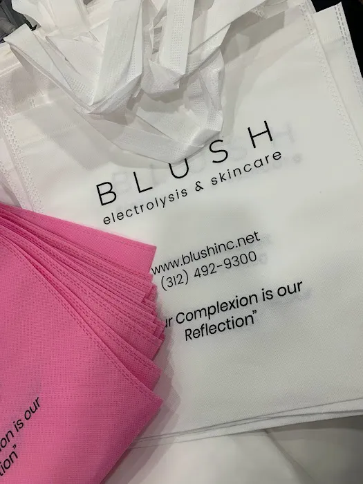 Blush Electrolysis & Skincare Picture 9
