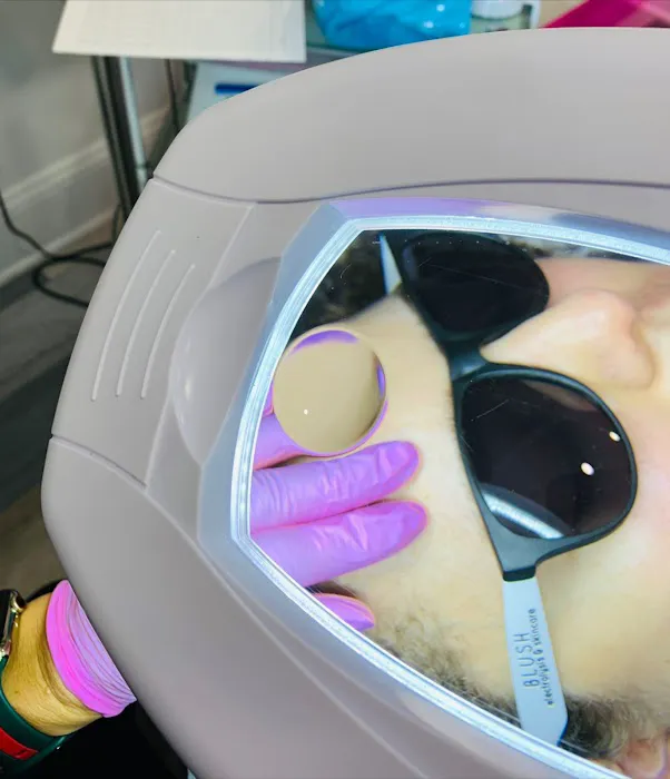 Blush Electrolysis & Skincare Picture 7