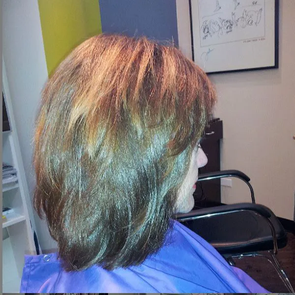Allan Weiss - Stylist and Colorist, Chicago & Buffalo Grove Picture 9
