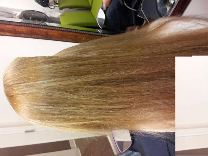 Catherine Ford Salon Picture 7