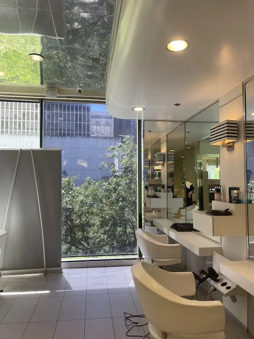 Charles Ifergan Salon Picture 6