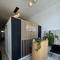 Good Aesthetics Chicago ico